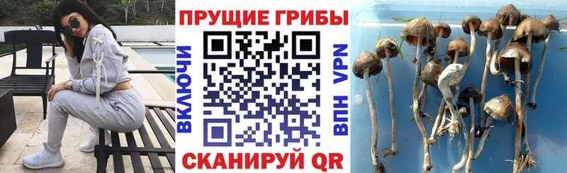 Псилоцибиновые грибы мухоморы  Красково 